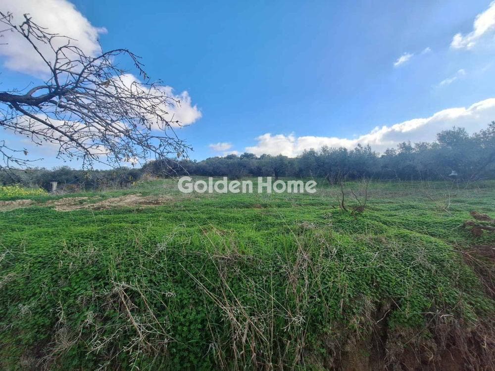Building Plot in Epano Vatheia, Episkopi — Photo 13 of 19