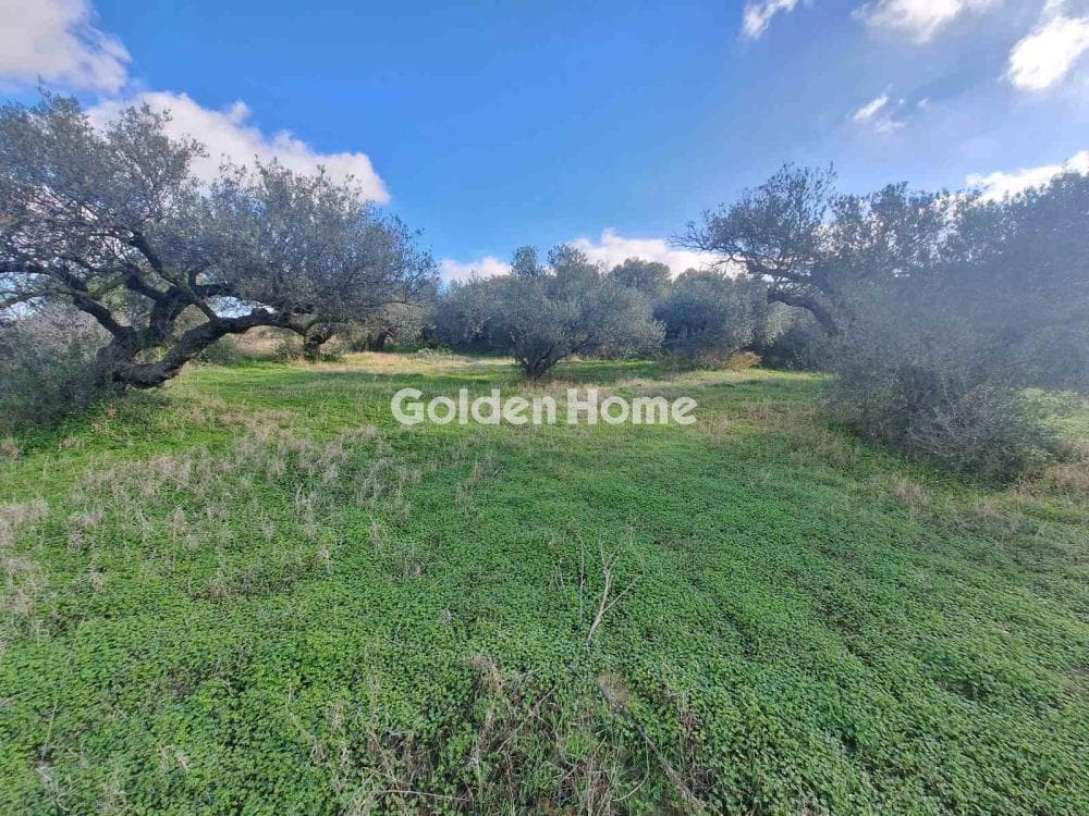 Building Plot in Epano Vatheia, Episkopi — Photo 11 of 19