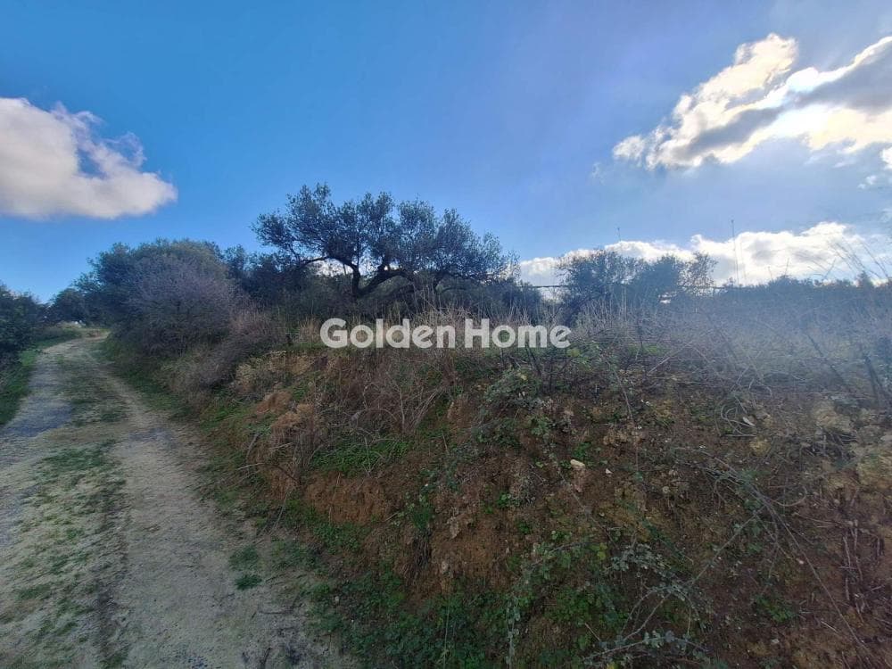 Building Plot in Epano Vatheia, Episkopi — Photo 10 of 19