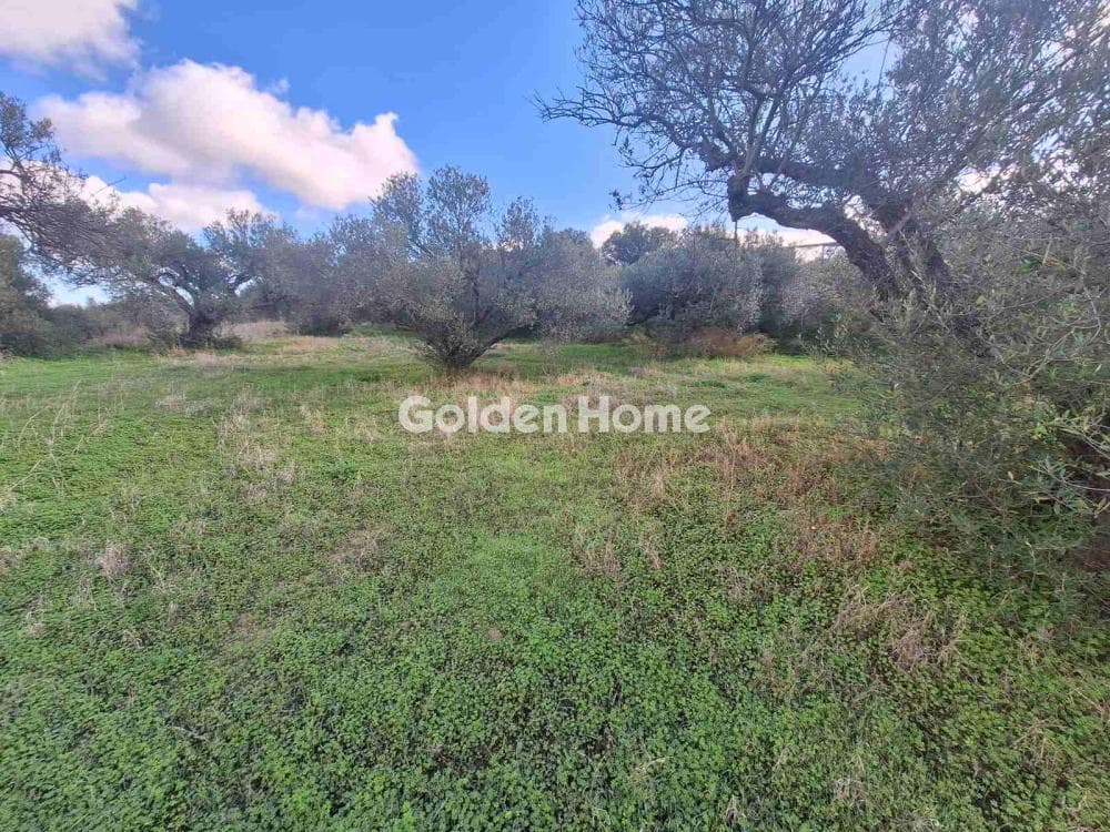 Building Plot in Epano Vatheia, Episkopi — Photo 16 of 19