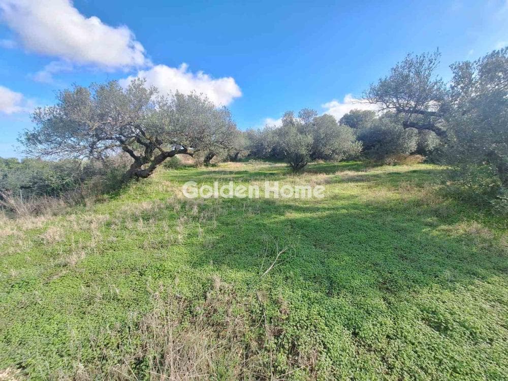 Building Plot in Epano Vatheia, Episkopi — Photo 15 of 19