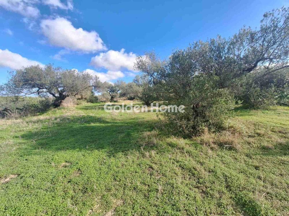 Building Plot in Epano Vatheia, Episkopi — Photo 17 of 19