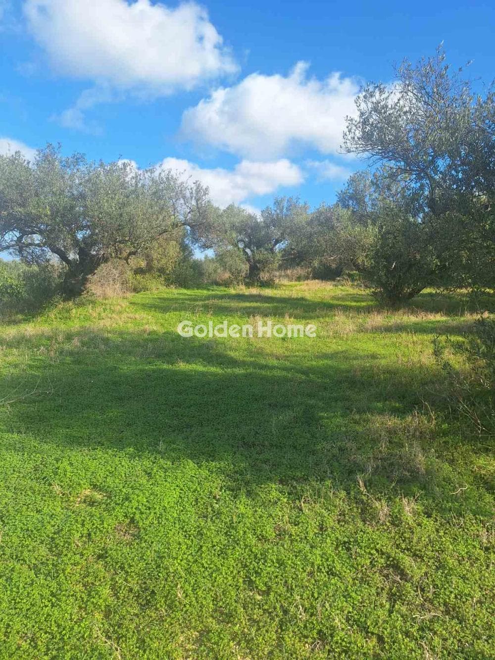Building Plot in Epano Vatheia, Episkopi — Photo 18 of 19