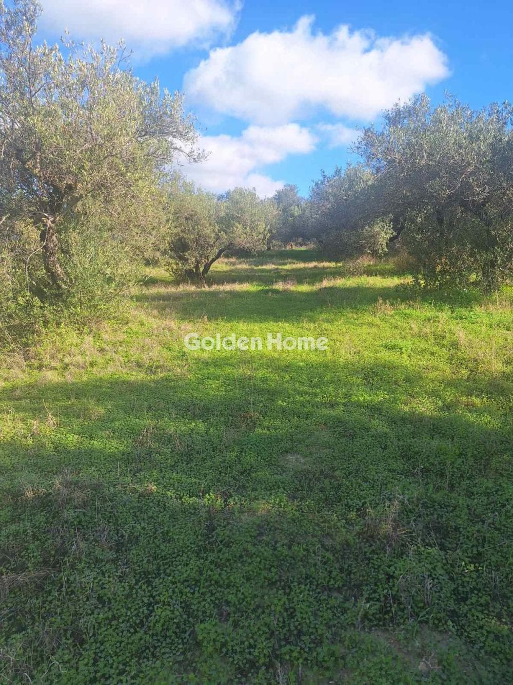 Building Plot in Epano Vatheia, Episkopi — Photo 19 of 19
