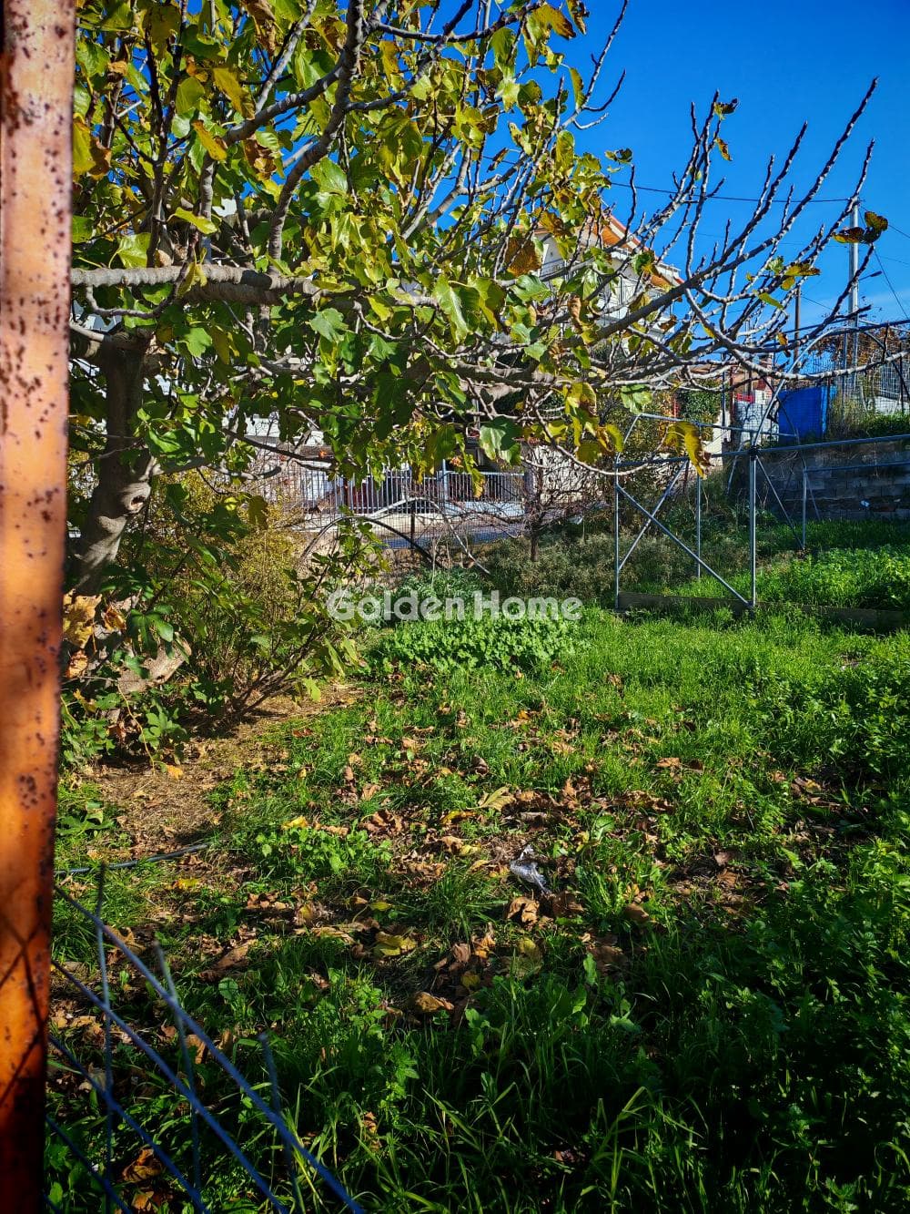 Αγροτεμάχιο στην Καρούζι, Παλλήνη — Φωτογραφία 5 από 5