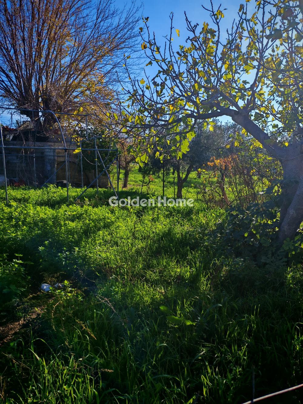 Αγροτεμάχιο στην Καρούζι, Παλλήνη — Φωτογραφία 4 από 5