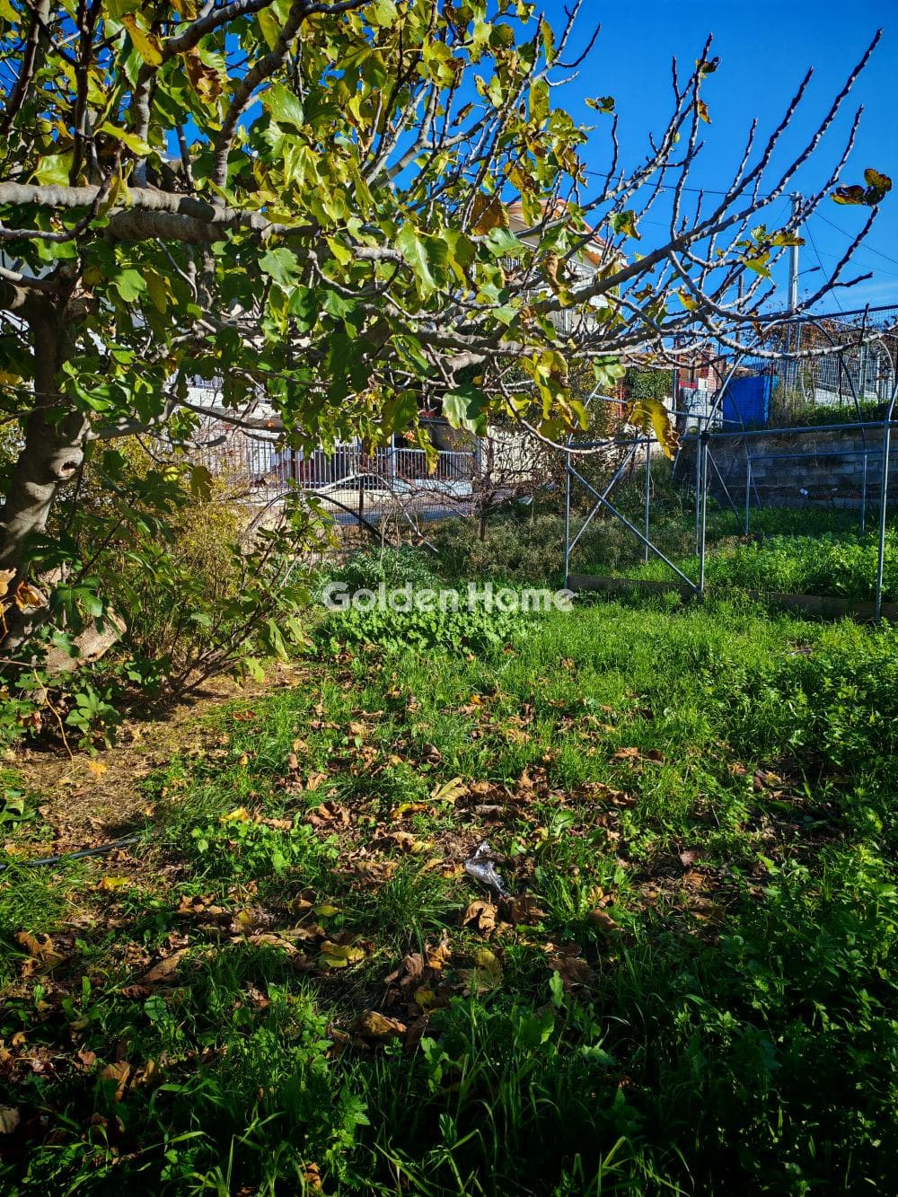 Αγροτεμάχιο στην Καρούζι, Παλλήνη — Φωτογραφία 3 από 5