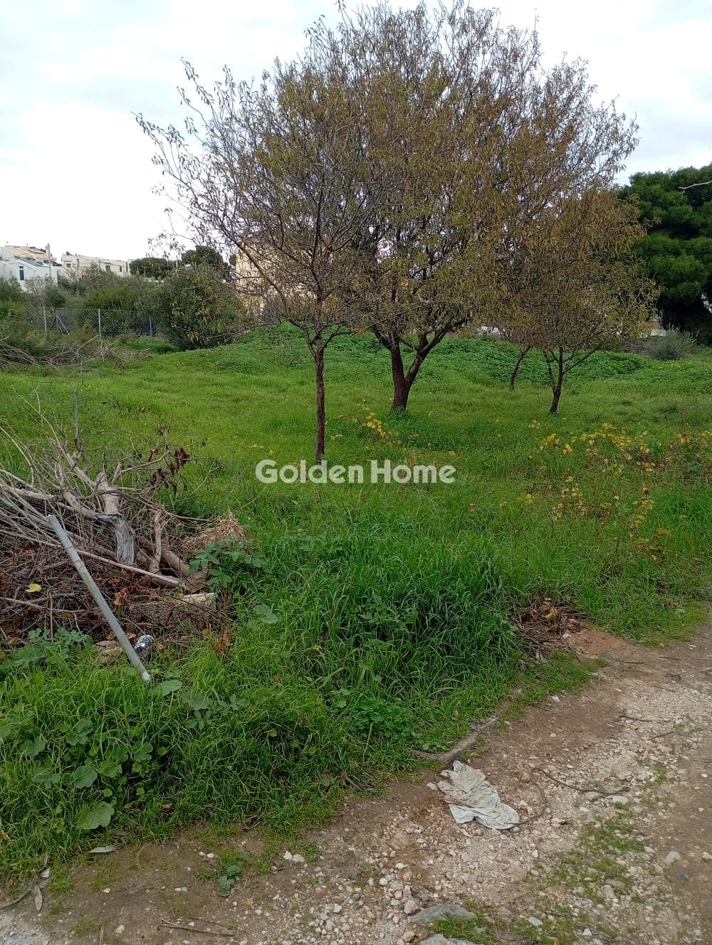 Οικόπεδο στην Άγιος Σεραφείμ, Αρτέμιδα (Λούτσα) — Φωτογραφία 1 από 5