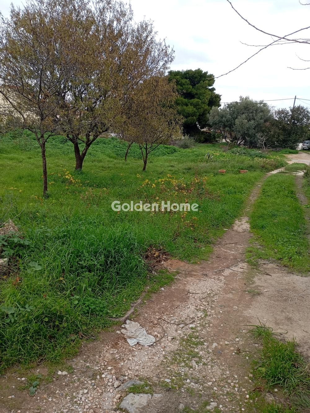 Οικόπεδο στην Άγιος Σεραφείμ, Αρτέμιδα (Λούτσα) — Φωτογραφία 2 από 5
