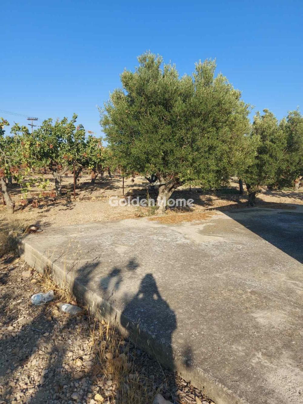 Building Plot in Pagoni, Aegina — Photo 9 of 10