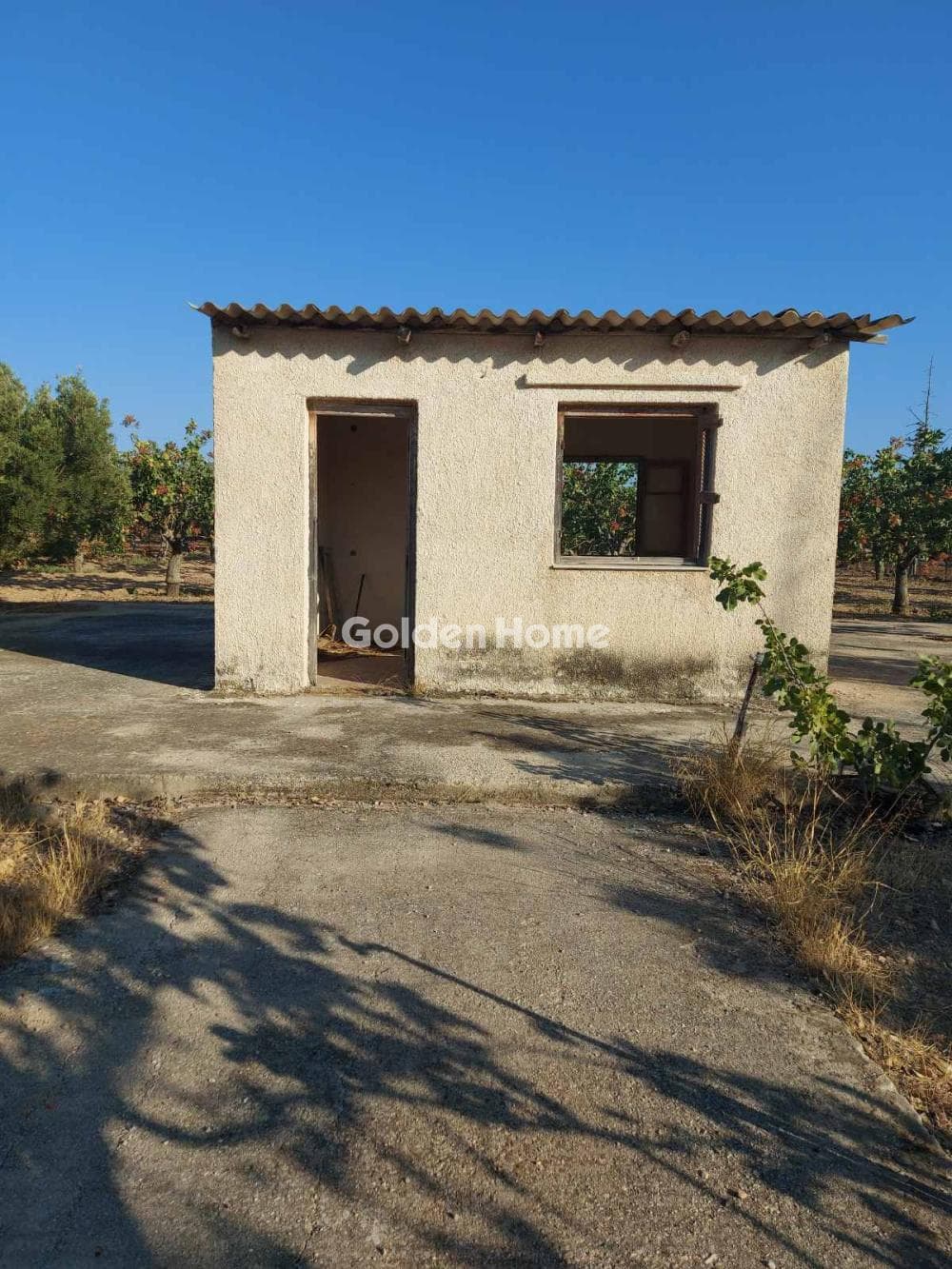 Building Plot in Pagoni, Aegina — Photo 3 of 10
