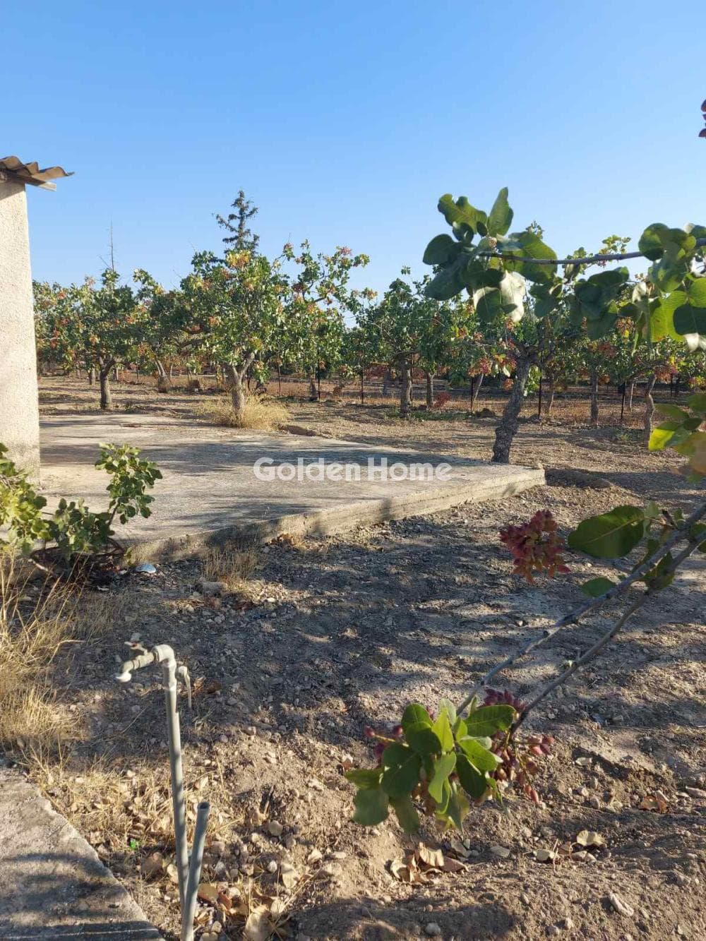 Building Plot in Pagoni, Aegina — Photo 2 of 10