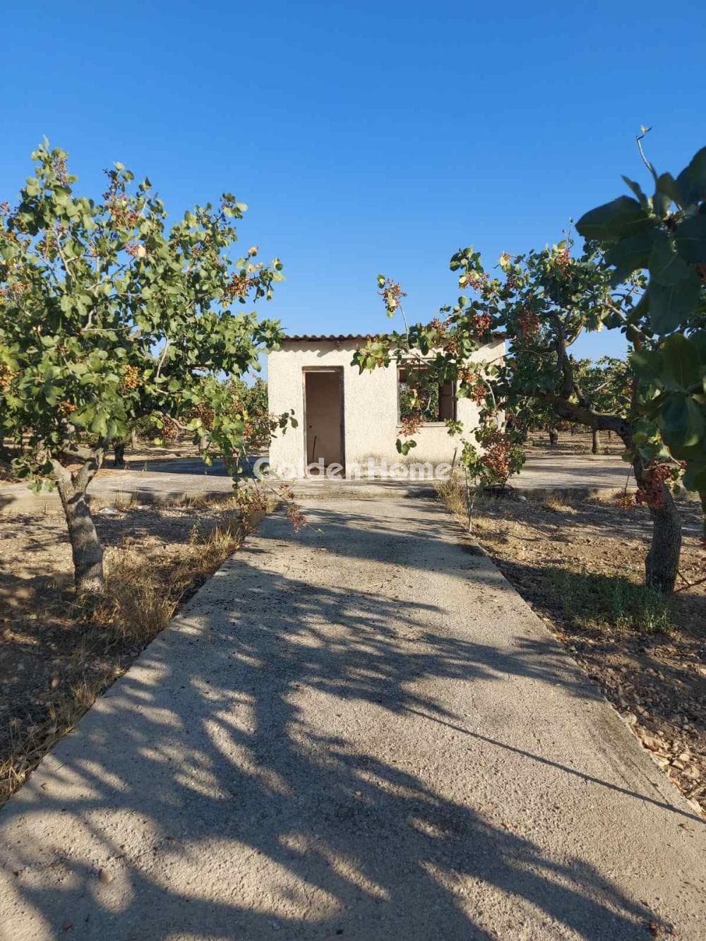 Building Plot in Pagoni, Aegina — Photo 6 of 10
