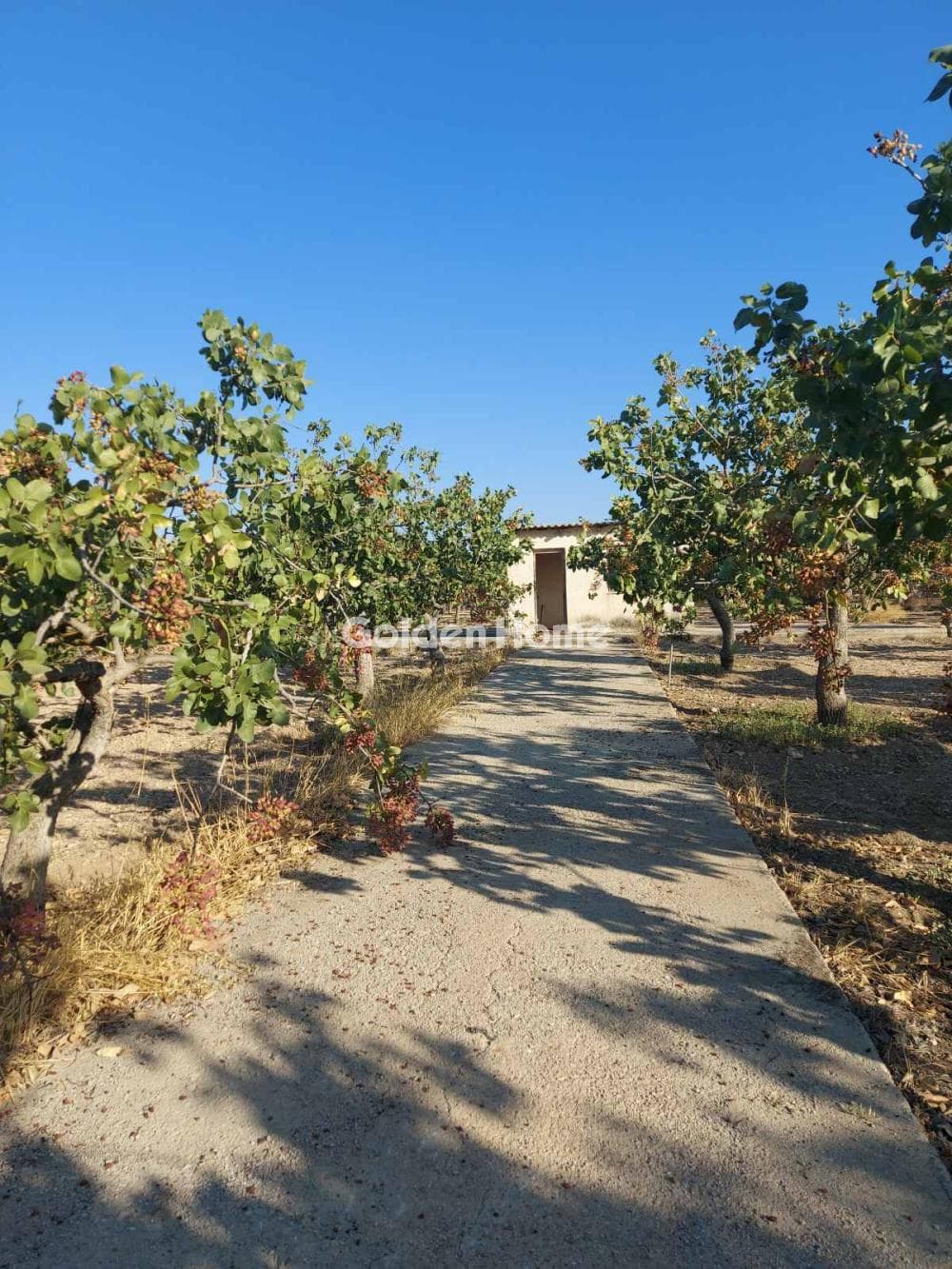 Building Plot in Pagoni, Aegina — Photo 5 of 10