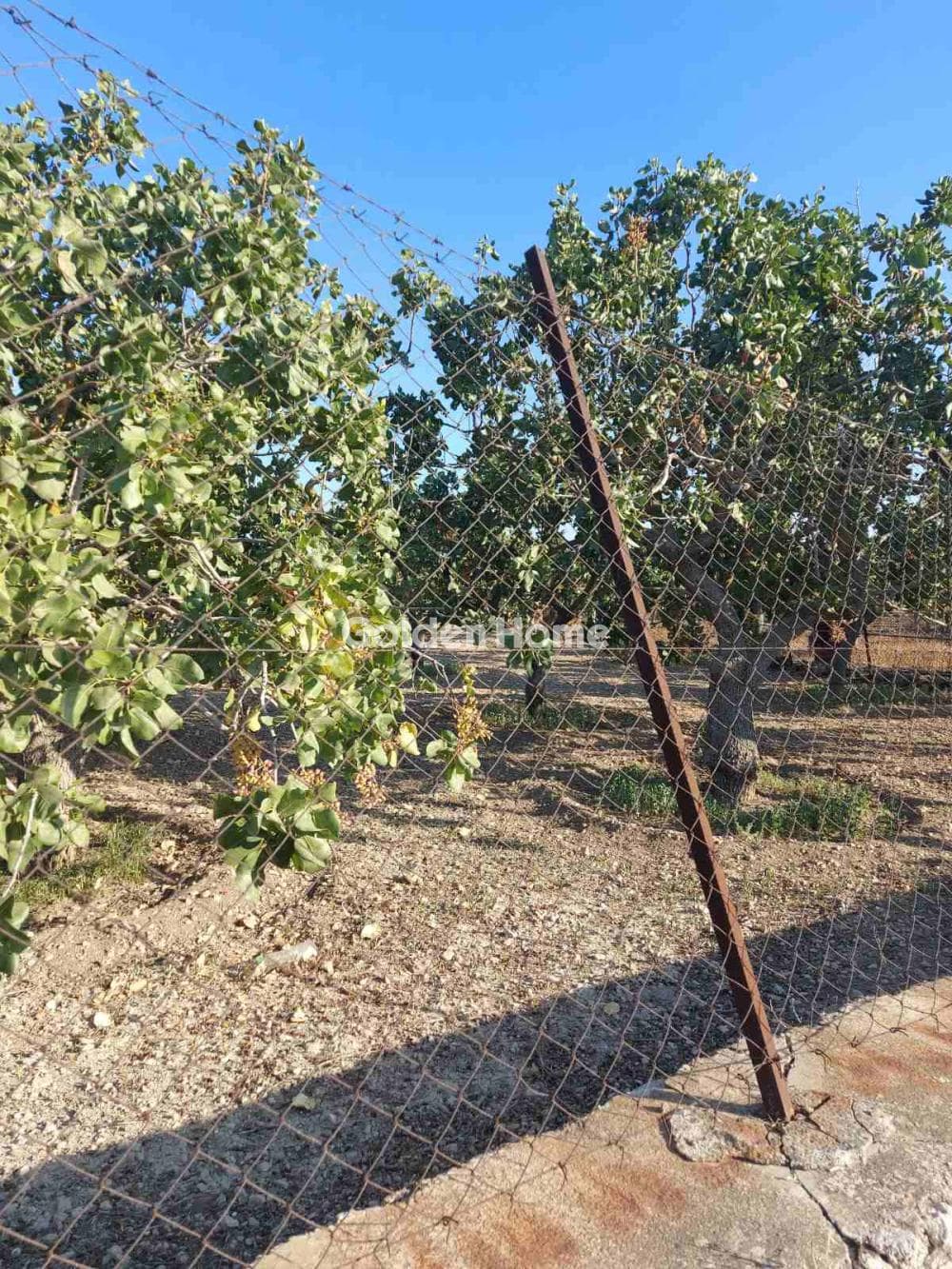 Building Plot in Pagoni, Aegina — Photo 7 of 10