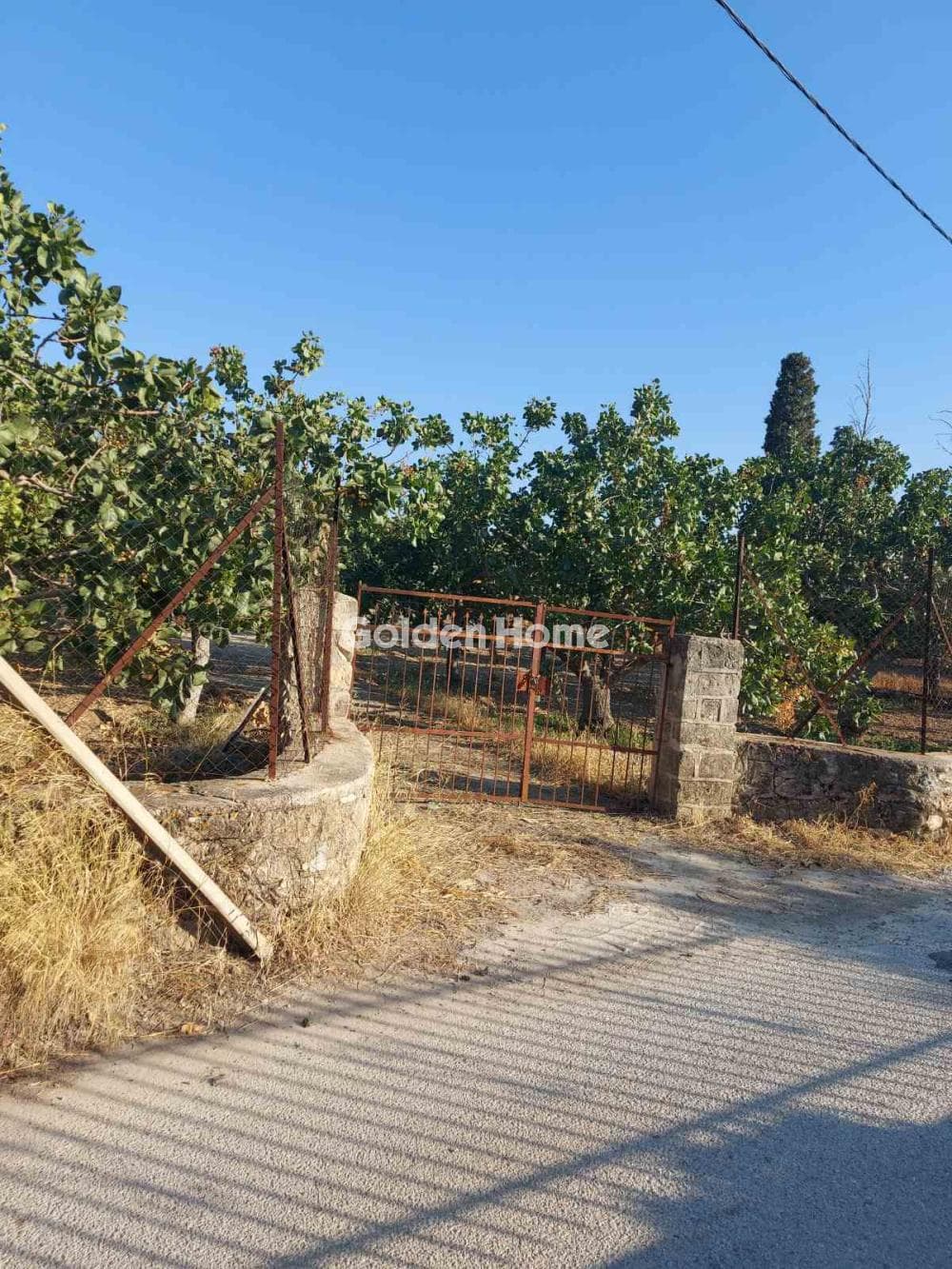 Building Plot in Pagoni, Aegina — Photo 10 of 10