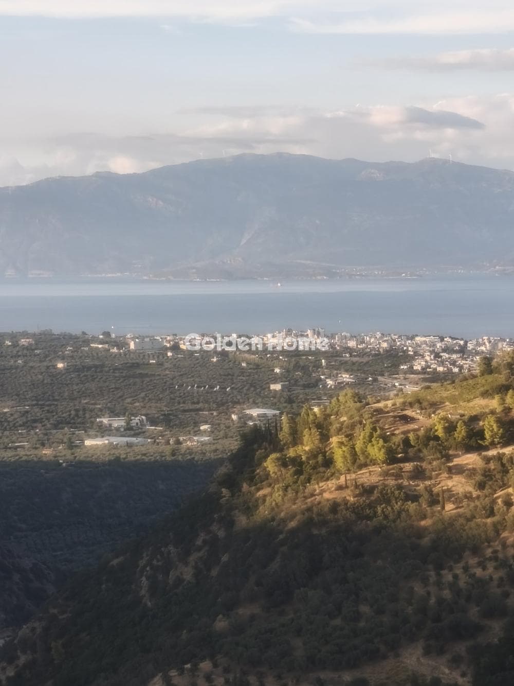 Μονοκατοικία στην Αχλαδιά, Αίγιο — Φωτογραφία 8 από 20