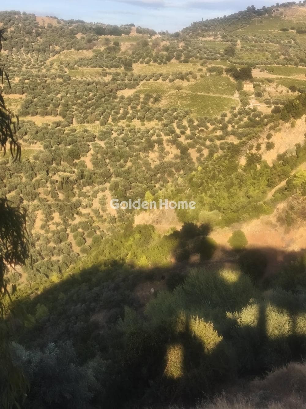 Μονοκατοικία στην Αχλαδιά, Αίγιο — Φωτογραφία 12 από 20