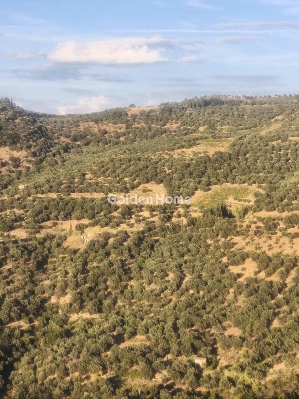 Μονοκατοικία στην Αχλαδιά, Αίγιο — Φωτογραφία 15 από 20