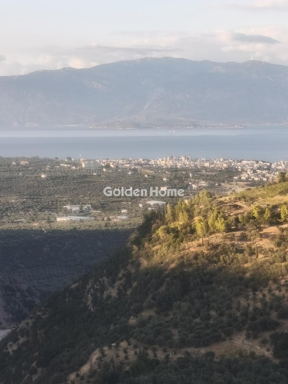 Μονοκατοικία στην Αχλαδιά, Αίγιο — Φωτογραφία 19 από 20
