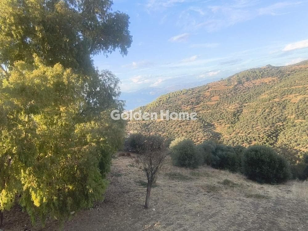 Μονοκατοικία στην Αχλαδιά, Αίγιο — Φωτογραφία 18 από 20