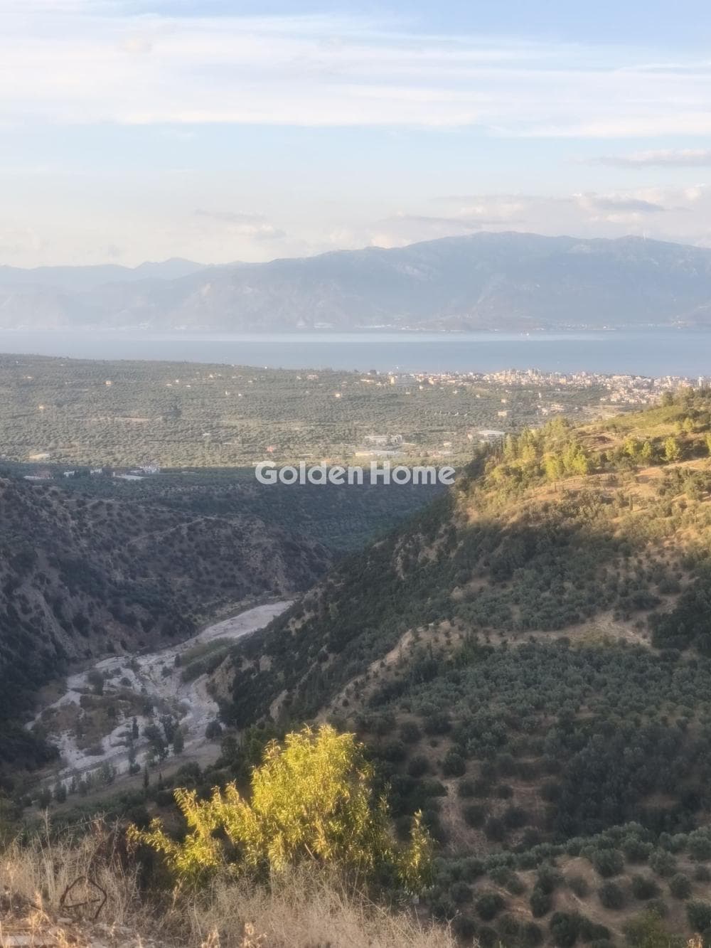 Μονοκατοικία στην Αχλαδιά, Αίγιο — Φωτογραφία 20 από 20