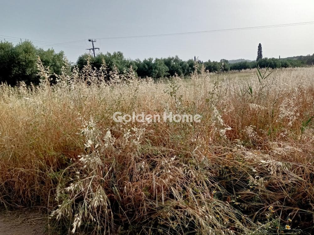 Αγροτεμάχιο στην Καλαμάκι, Τυμπάκι — Φωτογραφία 1 από 4