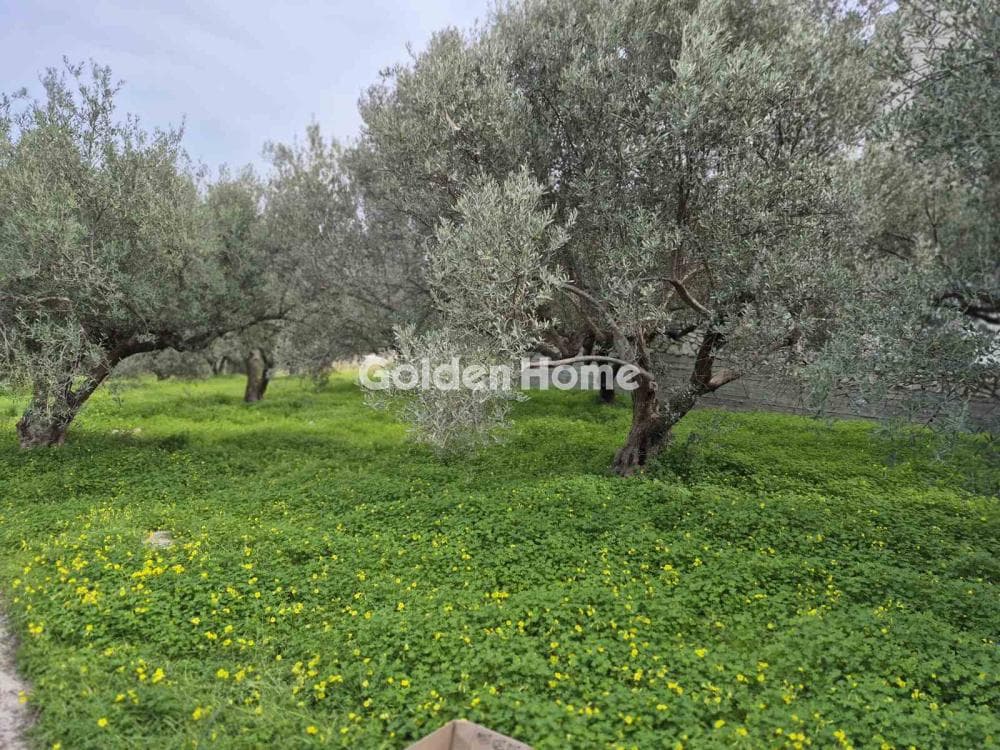 Building Plot in Poros, Heraclion Cretes — Photo 7 of 8