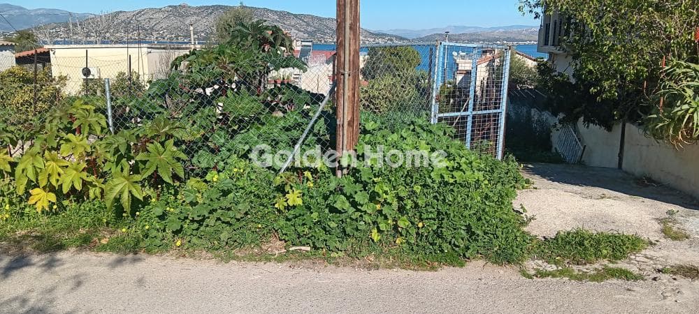 Building Plot in Aiantio, Salamina — Photo 1 of 3