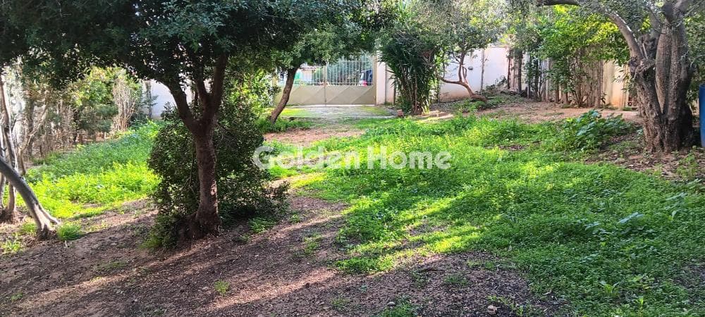 Building Plot in Aiantio, Salamina — Photo 1 of 2