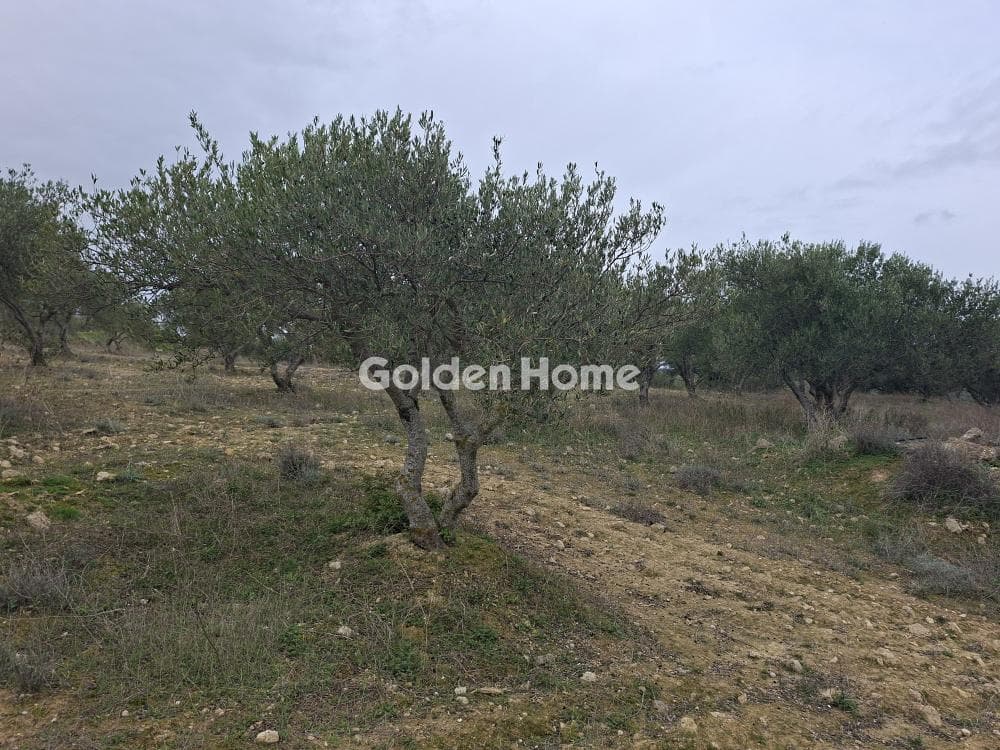 Parcel in Mousouta, Arkalochori — Photo 3 of 23
