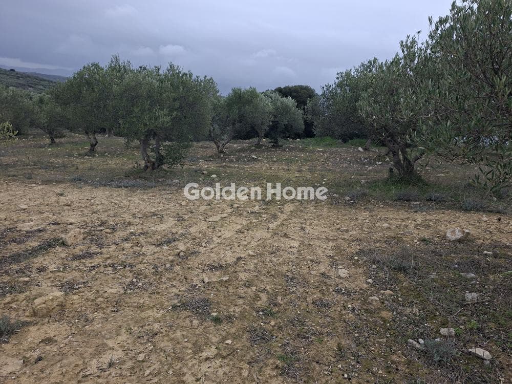 Parcel in Mousouta, Arkalochori — Photo 4 of 23