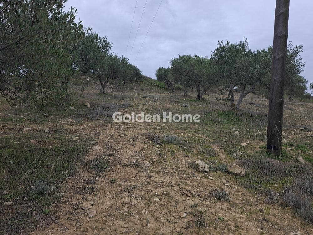 Parcel in Mousouta, Arkalochori — Photo 5 of 23