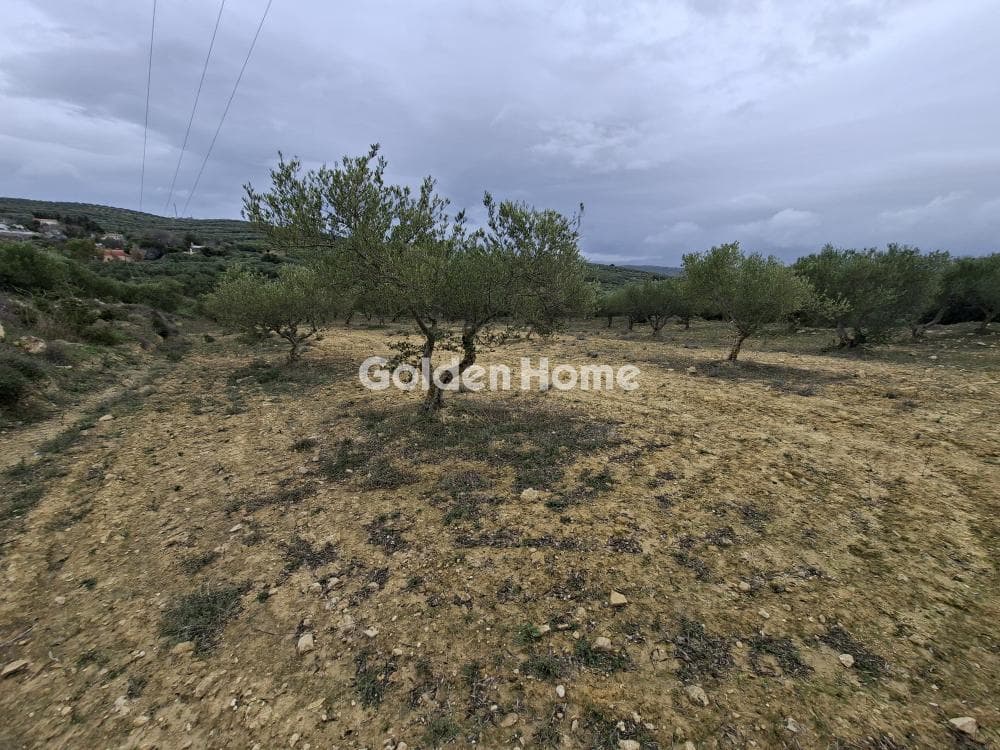 Parcel in Mousouta, Arkalochori — Photo 7 of 23