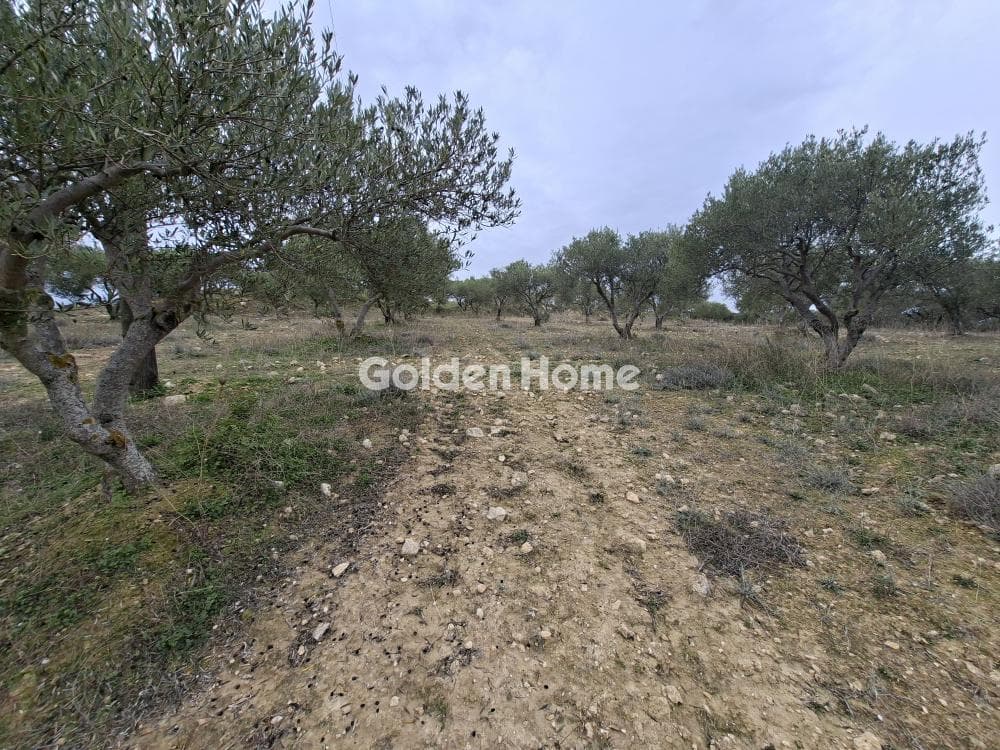 Parcel in Mousouta, Arkalochori — Photo 8 of 23