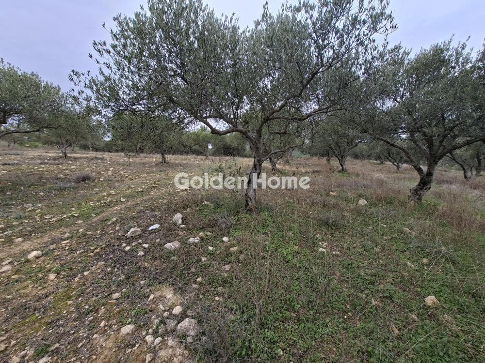 Parcel in Mousouta, Arkalochori — Photo 9 of 23