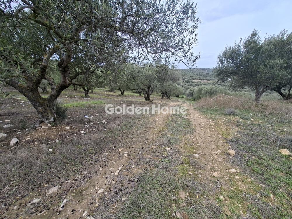 Parcel in Mousouta, Arkalochori — Photo 10 of 23