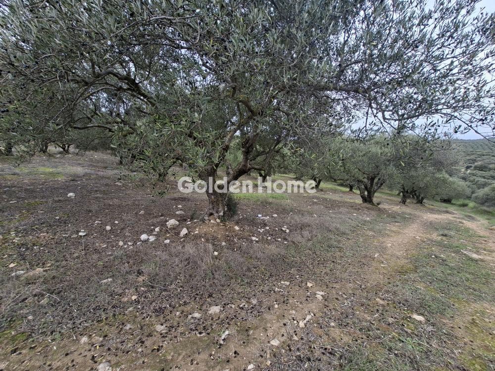 Parcel in Mousouta, Arkalochori — Photo 11 of 23