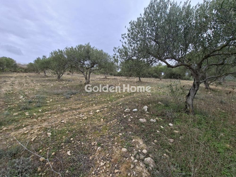 Parcel in Mousouta, Arkalochori — Photo 12 of 23