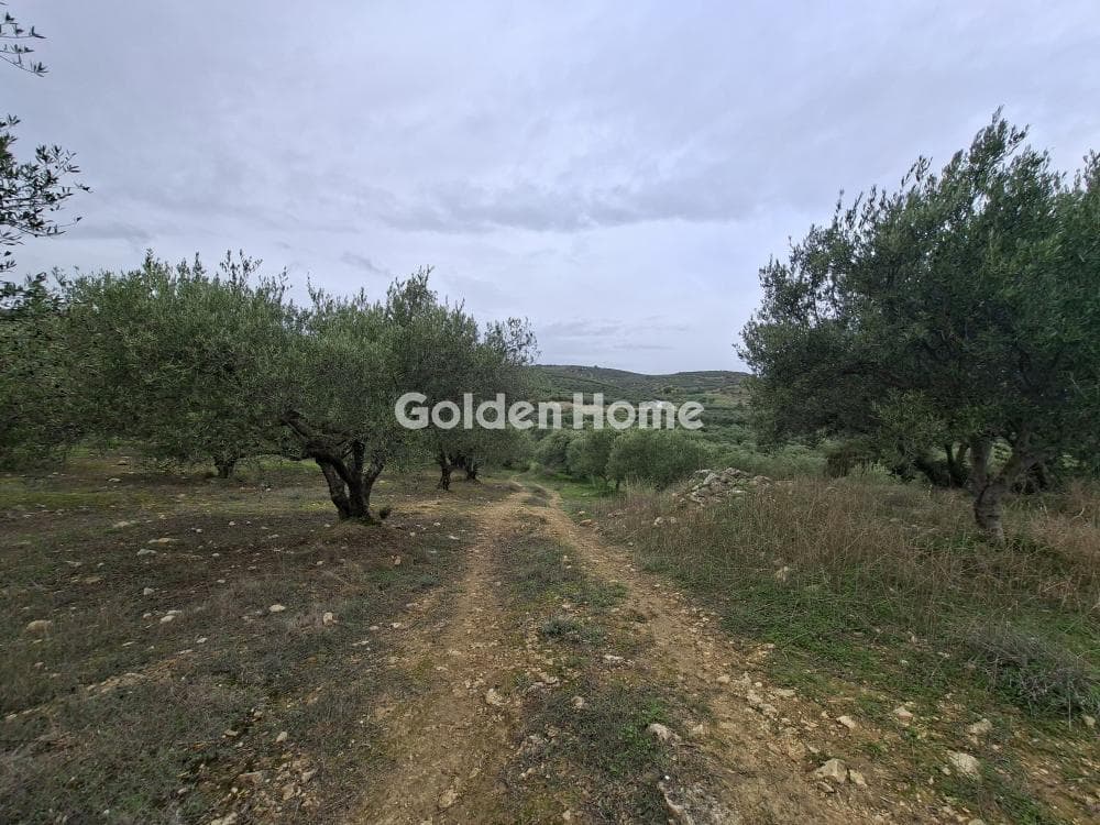Parcel in Mousouta, Arkalochori — Photo 14 of 23