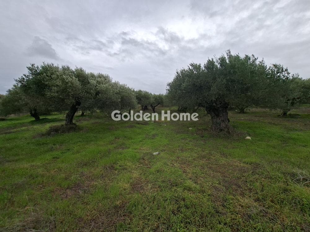 Parcel in Mousouta, Arkalochori — Photo 1 of 23