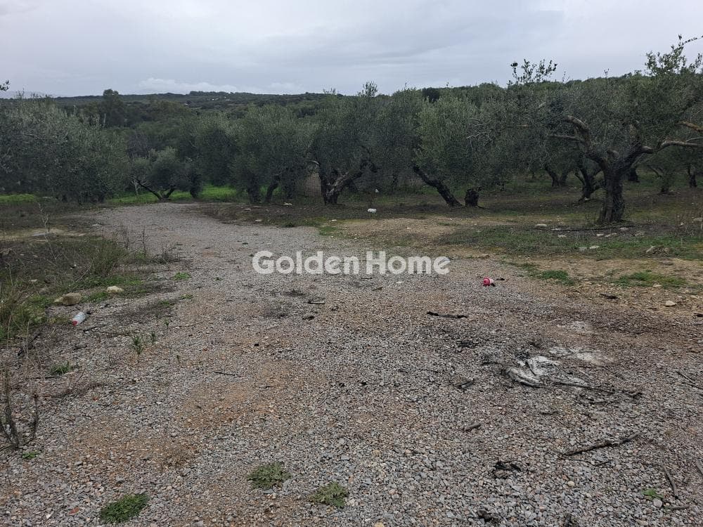 Parcel in Mousouta, Arkalochori — Photo 2 of 11