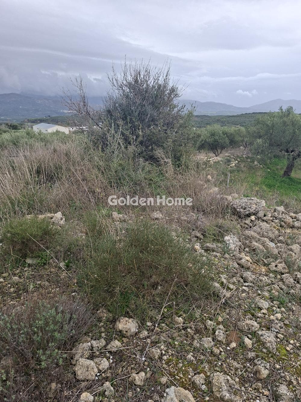 Parcel in Mousouta, Arkalochori — Photo 3 of 11