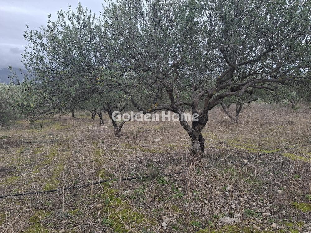 Parcel in Mousouta, Arkalochori — Photo 4 of 11