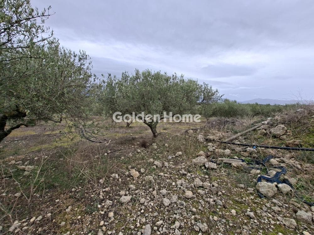 Parcel in Mousouta, Arkalochori — Photo 6 of 11