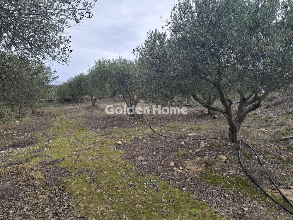 Parcel in Mousouta, Arkalochori — Photo 7 of 11