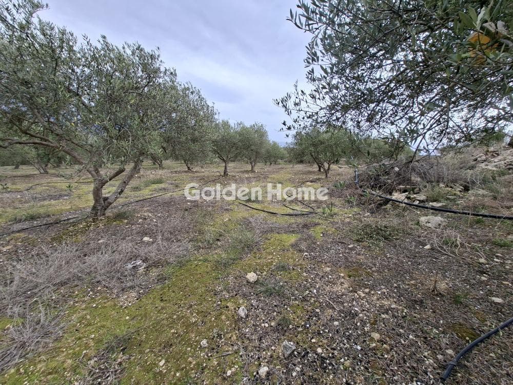 Parcel in Mousouta, Arkalochori — Photo 8 of 11