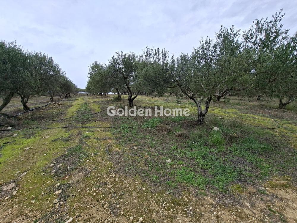 Parcel in Mousouta, Arkalochori — Photo 10 of 11