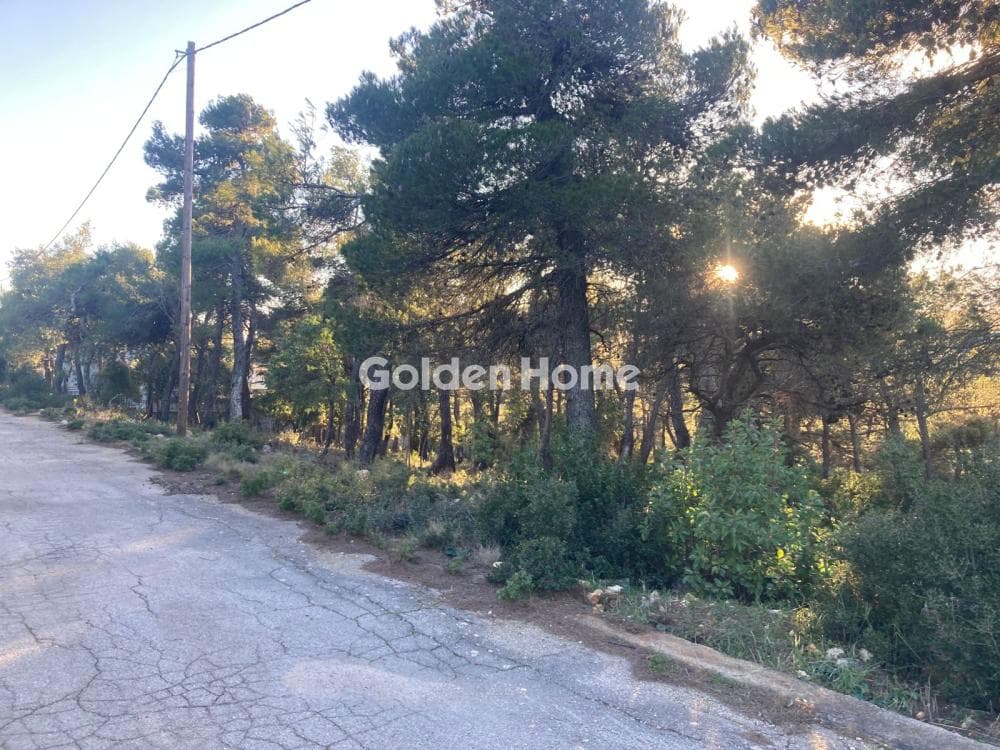 Building Plot in Agia Triada, Afidnes — Photo 4 of 4