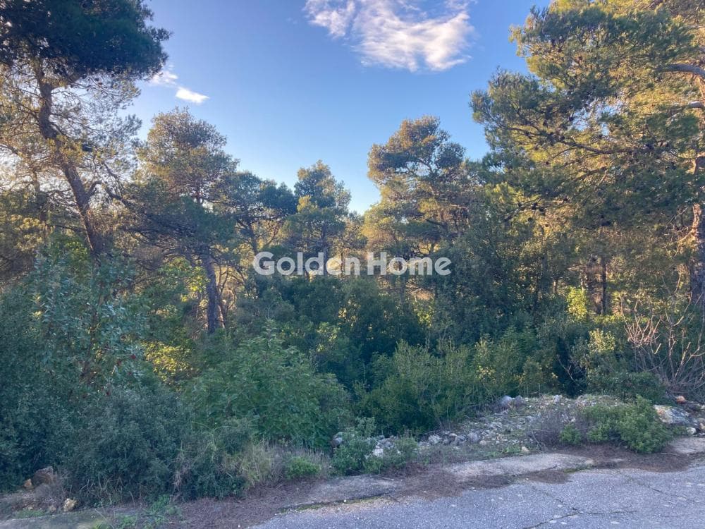 Building Plot in Agia Triada, Afidnes — Photo 3 of 4